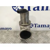 Valvula Egr para Hyundai Santa Fe (Bm)