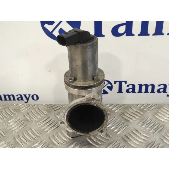 Valvula Egr para Hyundai Santa Fe (Bm)