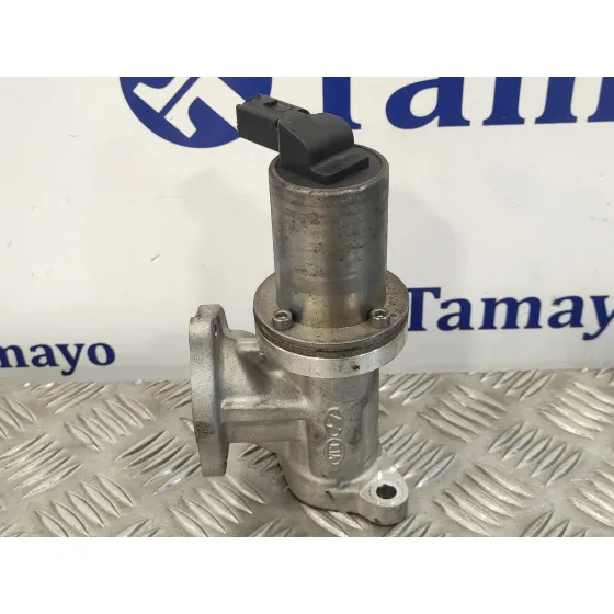 Valvula Egr para Hyundai Santa Fe (Bm)
