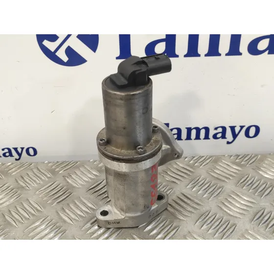 Valvula Egr para Hyundai Santa Fe (Bm)