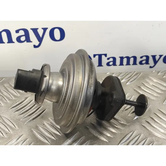 Valvula Egr para Bmw Serie 3 Berlina (E90)