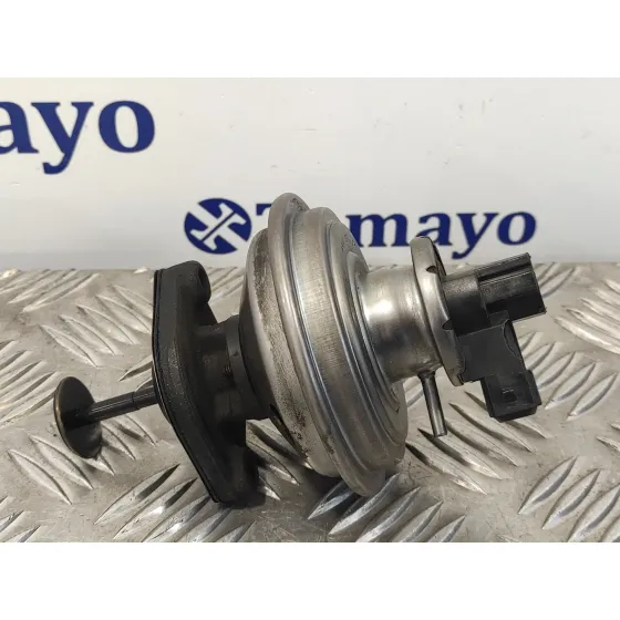 Valvula Egr para Bmw Serie 3 Berlina (E90)