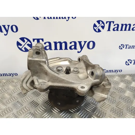 Mangueta Delantera Izquierda para Bmw Serie 3 Berlina (E90)