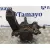 Mangueta Delantera Derecha para Fiat Ducato Furgon