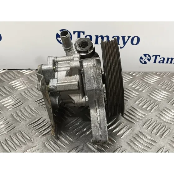 Bomba Direccion para Land Rover Freelander
