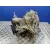 Caja Cambios para Ford Fiesta (Cbk)