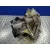 Caja Cambios para Ford Fiesta (Cbk)