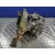 Caja Cambios para Opel Corsa C