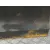 Puerta Trasera Derecha para Seat Toledo (Kg3)