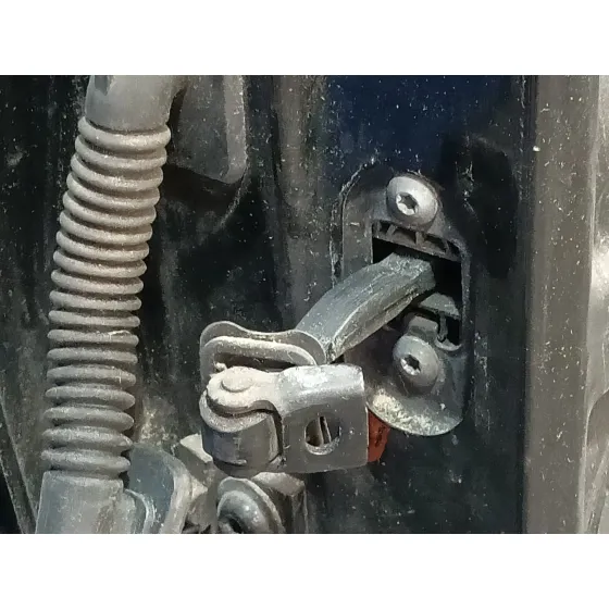 Puerta Trasera Derecha para Seat Toledo (Kg3)