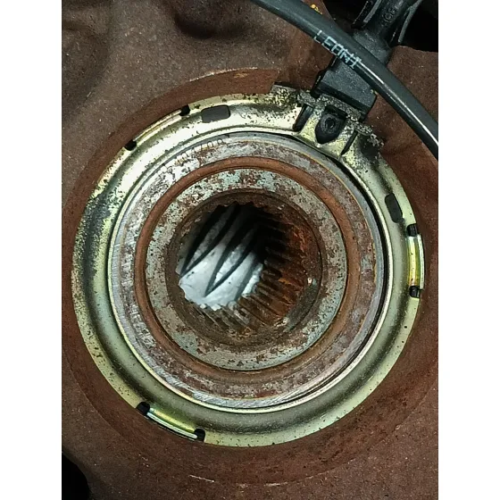 Mangueta Delantera Izquierda para Renault Scenic Ii