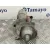 Motor Arranque para Ford Fiesta (Cbk)