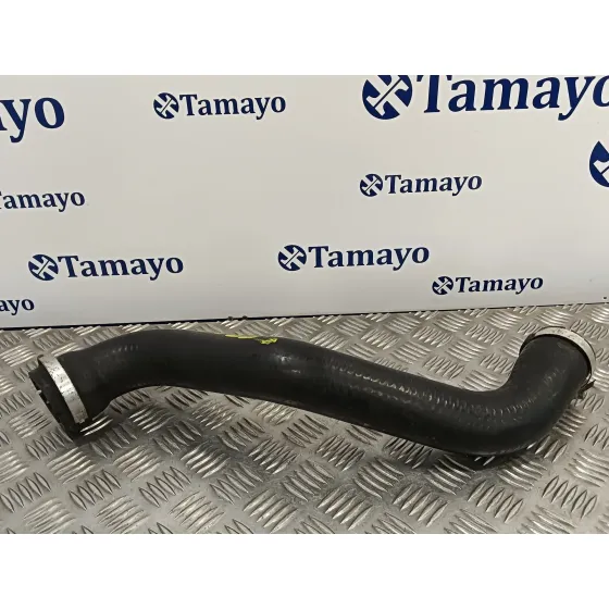 Tubo para Renault Megane I Scenic (Ja0)