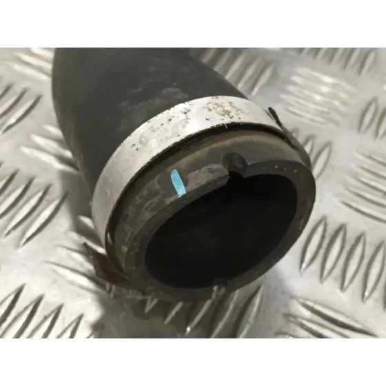 Tubo para Renault Megane I Scenic (Ja0)