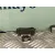 Luna Delantera Derecha para Toyota Rav 4 (A3)