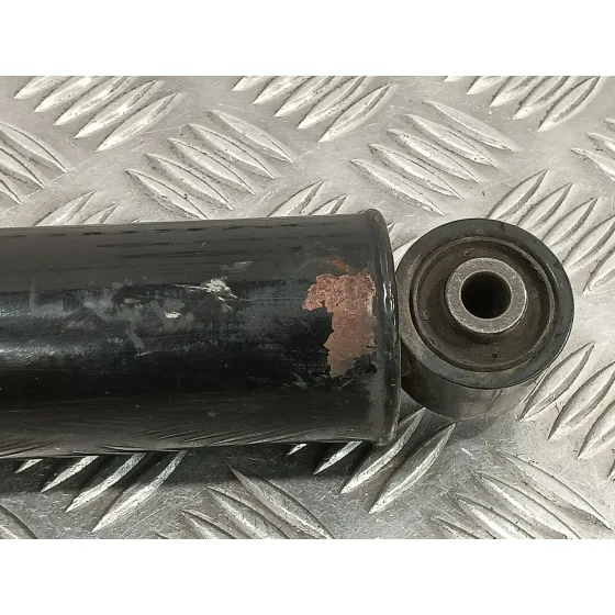 Amortiguador Trasero Izquierdo para Fiat 500 (312)