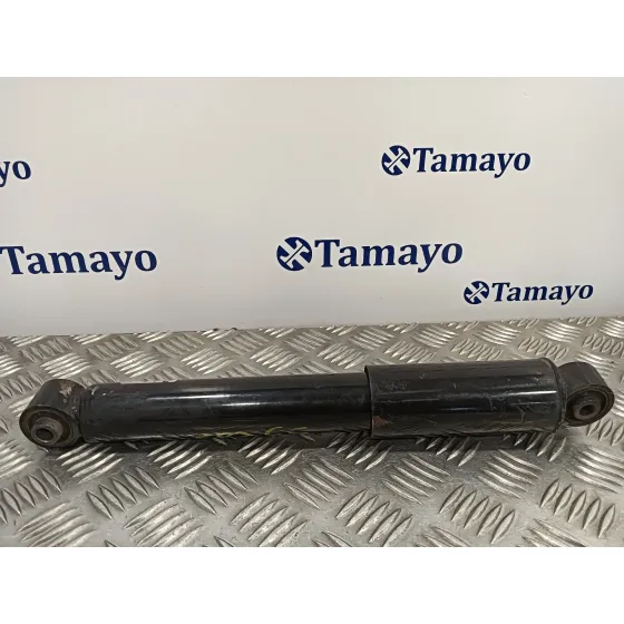 Amortiguador Trasero Izquierdo para Fiat 500 (312)