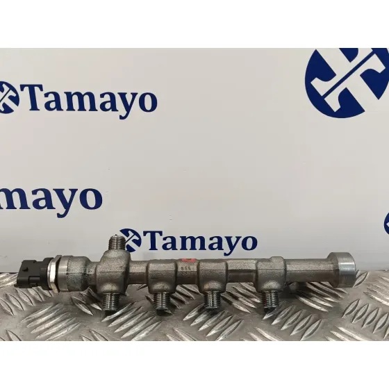 Rampa Inyectora para Bmw Serie 6 Coupe (F13) (....->)