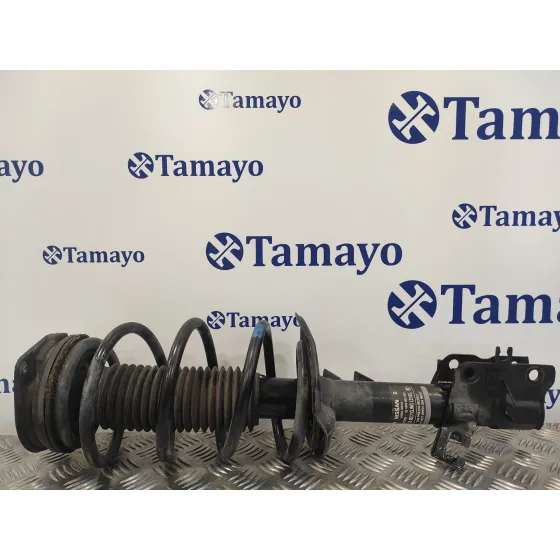 Amortiguador Delantero Izquierdo para Nissan Qashqai (J10)