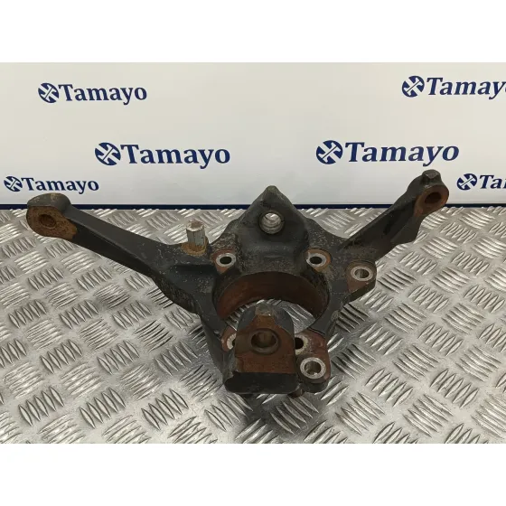 Mangueta Delantera Izquierda para Land Rover Discovery (Lt)