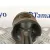 Biela para Mercedes-Benz Clase E (W212) Lim.
