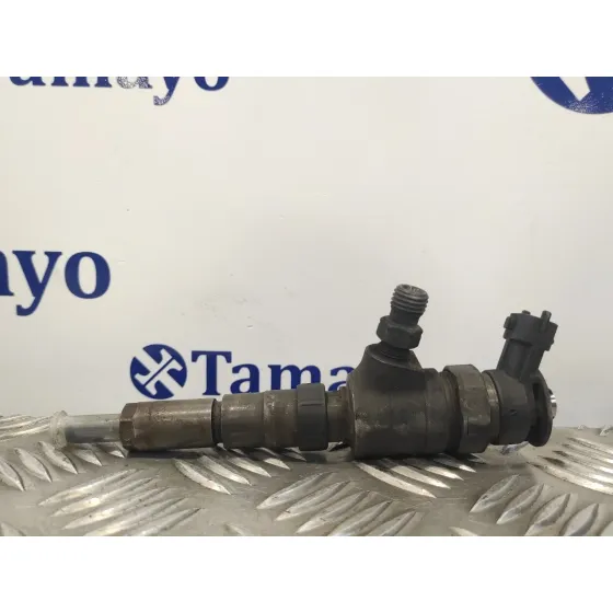 Inyector para Peugeot 206 Berlina