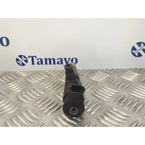 Inyector para Peugeot 206 Berlina