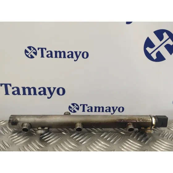 Rampa Inyectora para Mercedes-Benz Clase E (W212) Lim.
