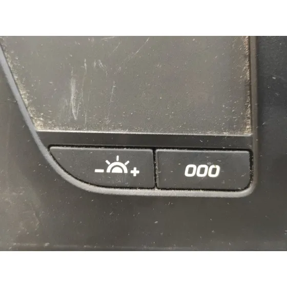 Cuadro Instrumentos para Citroën C4 Picasso