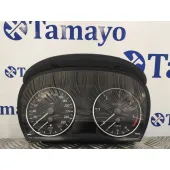 Cuadro Instrumentos para Bmw Serie 3 Berlina (E90)