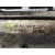 Motor Arranque para Volkswagen Golf Iv Berlina (1J1)