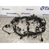 Instalacion Electrica Motor para Bmw Serie 6 Coupe (F13) (....->)