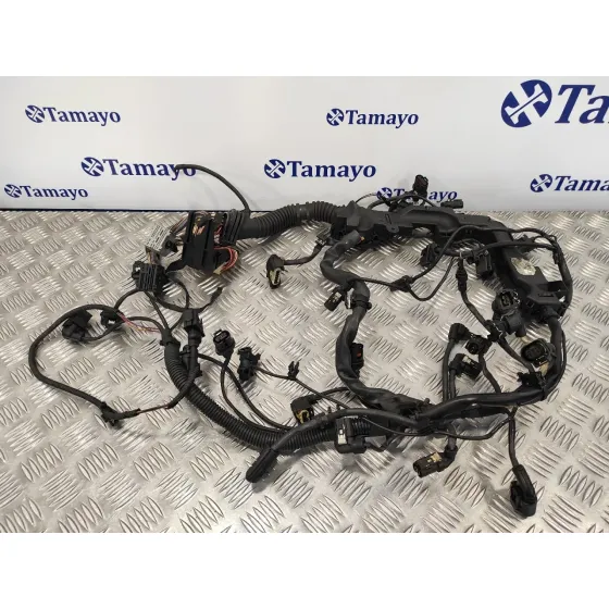 Instalacion Electrica Motor para Bmw Serie 6 Coupe (F13) (....->)