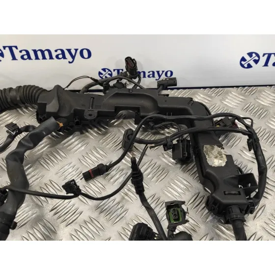 Instalacion Electrica Motor para Bmw Serie 6 Coupe (F13) (....->)