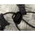 Instalacion Electrica Motor para Bmw Serie 6 Coupe (F13) (....->)