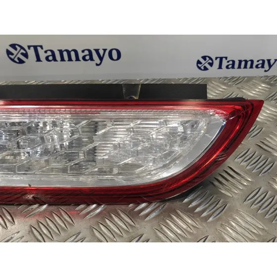 Piloto Trasero Izquierdo para Ford Focus Berlina (Cap)