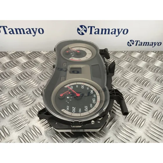 Cuadro Instrumentos para Renault Clio Iii