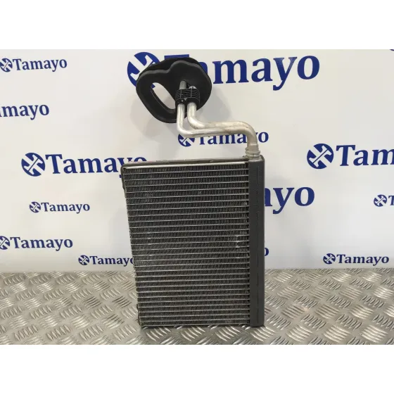 Evaporador Aire Acondicionado para Bmw Serie 3 Berlina (E90)