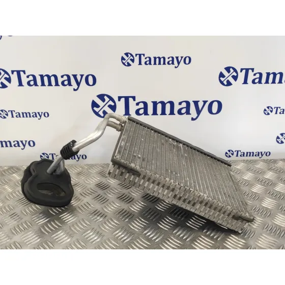 Evaporador Aire Acondicionado para Bmw Serie 3 Berlina (E90)