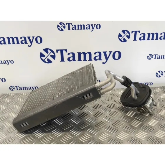 Evaporador Aire Acondicionado para Bmw Serie 3 Berlina (E90)