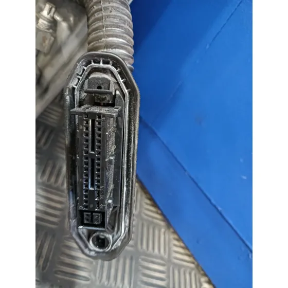 Puerta Delantera Izquierda para Bmw Serie 3 Berlina (E90)