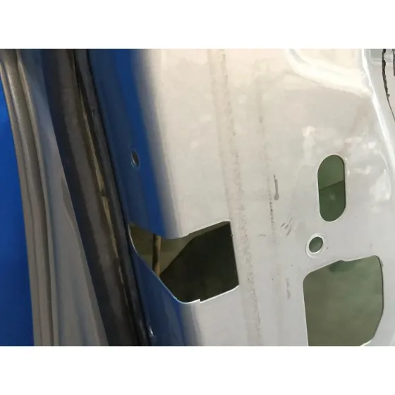 Puerta Delantera Izquierda para Bmw Serie 3 Berlina (E90)