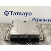 Centralita Motor Uce para Peugeot 307 (S1)