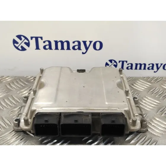 Centralita Motor Uce para Peugeot 307 (S1)