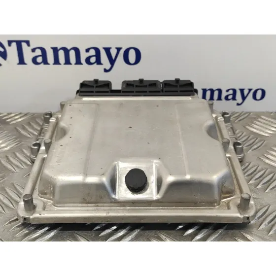 Centralita Motor Uce para Peugeot 307 (S1)