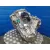 Caja Cambios para Renault Megane Iii Sport Tourer