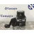 Abs para Ford Focus Lim. (Cb8)