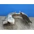 Plastico Paso Rueda Delantero Derecho para Ford Focus Lim. (Cb8)