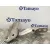 Visagra Capo para Ford Focus Lim. (Cb8)