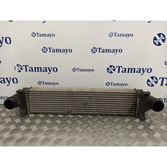Intercooler para Land Rover Freelander (Lr2)